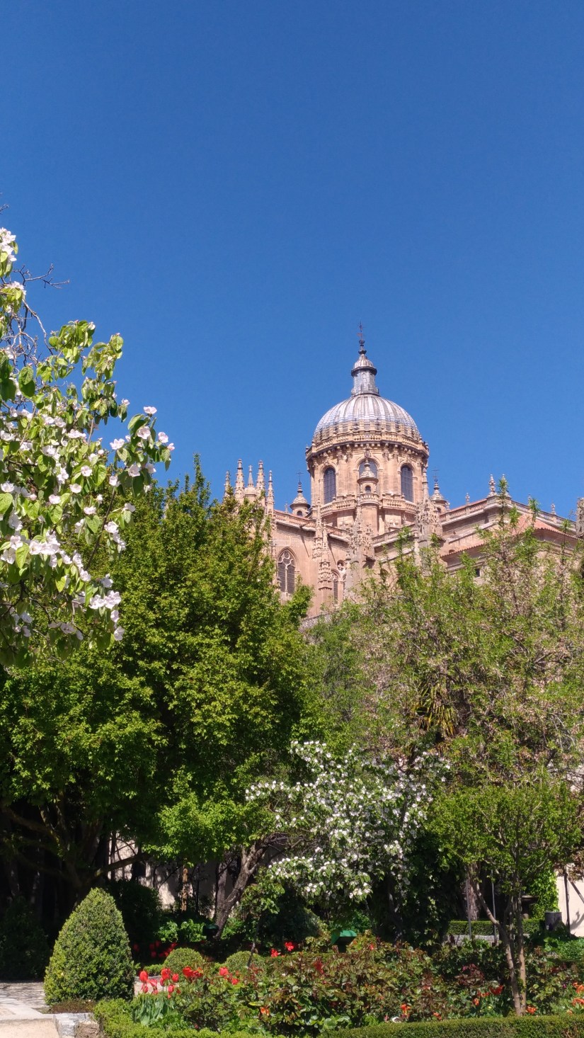 P_20170408_131927_vHDR_Auto