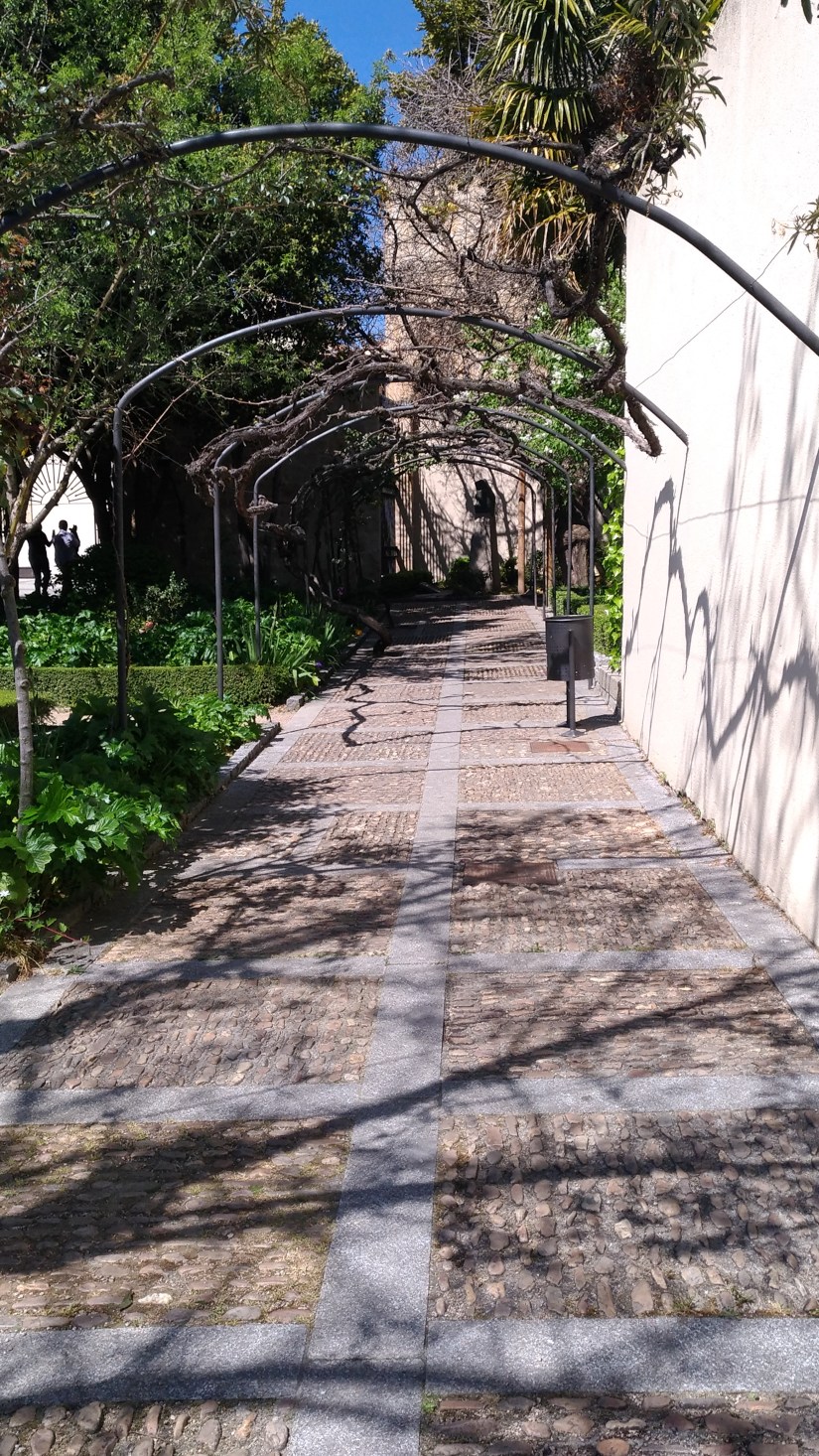 P_20170408_132556_vHDR_Auto