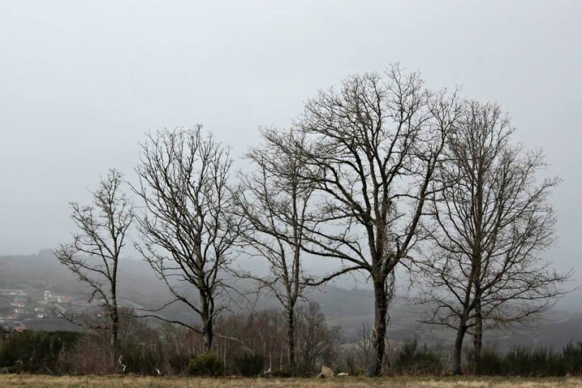 10403331_10153055267476506_4851735197832051676_n - Cópia