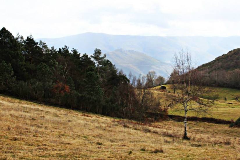 10978576_10153055265941506_8372613869427129648_n - Cópia