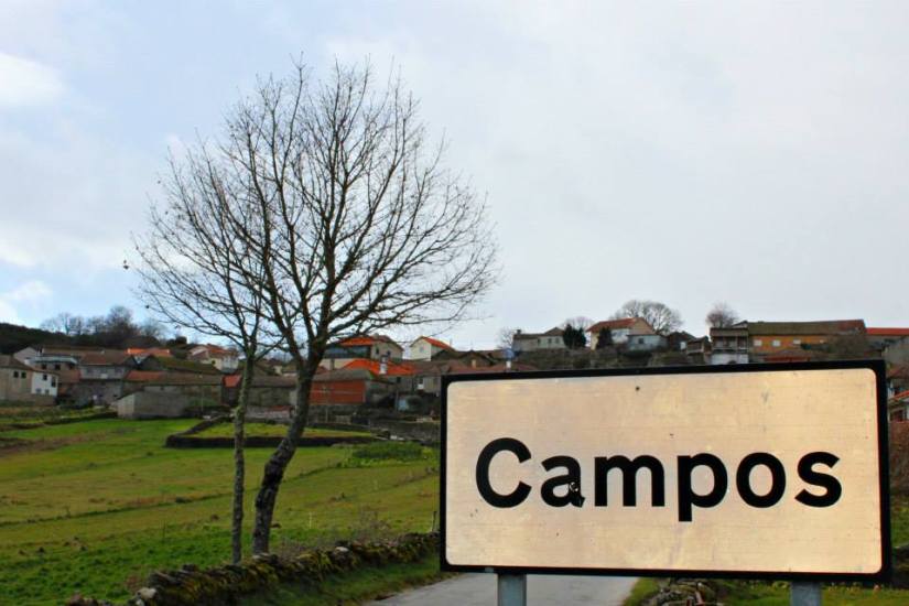 1465205_10153055259361506_7627083376532129699_n - Cópia