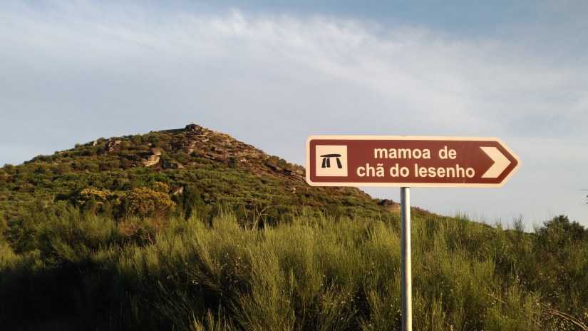 P_20170624_201020_vHDR_Auto