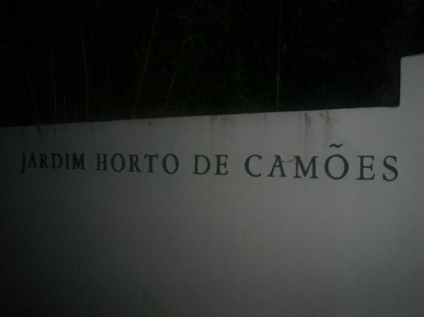 Constância - 10151047204946506