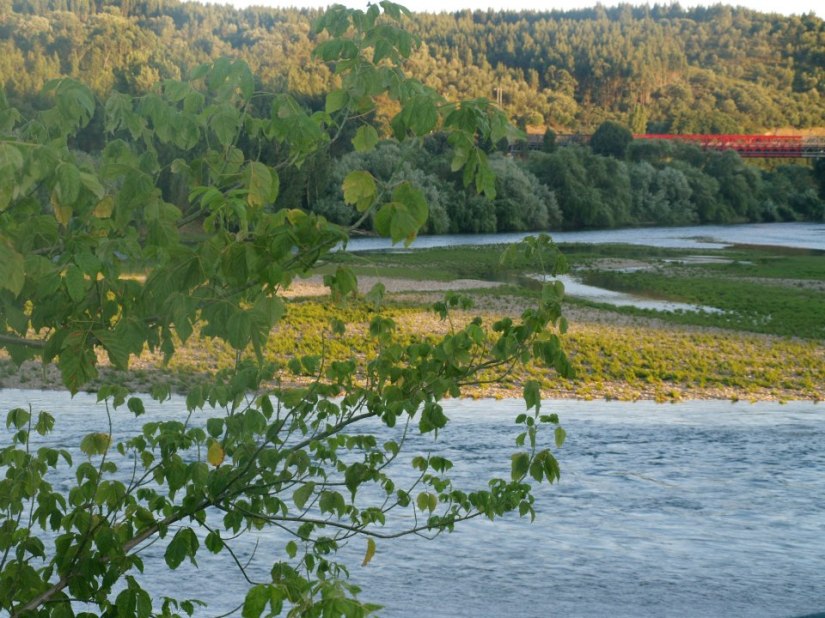 Margens do Rio Zêzere - 10151047202811506