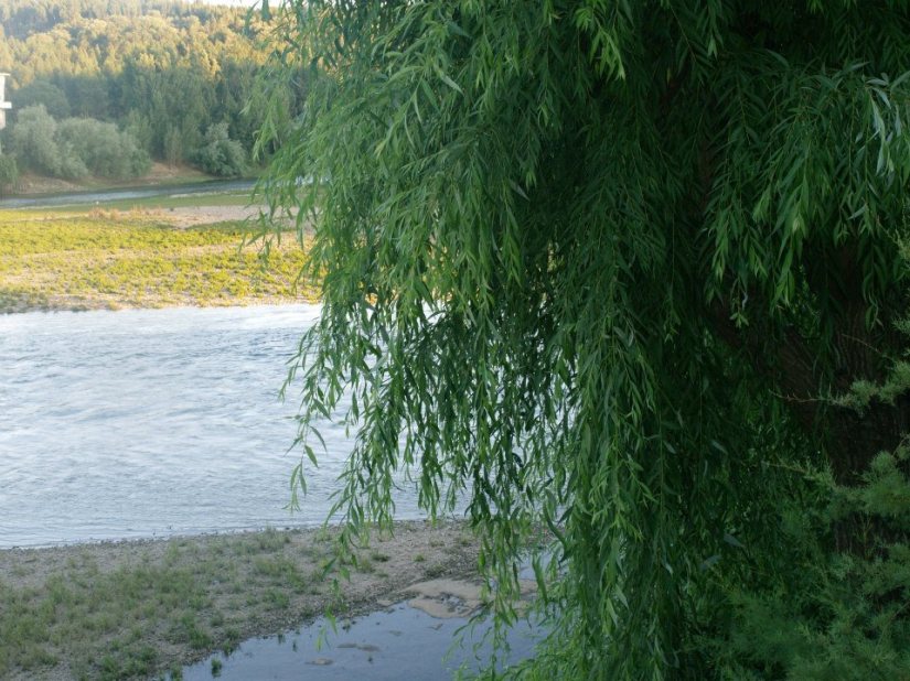 Margens do Rio Zêzere - 10151047203146506