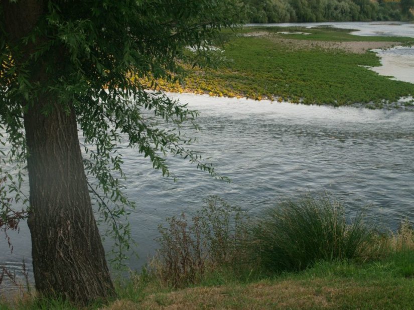 Margens do Rio Zêzere - 10151047204156506