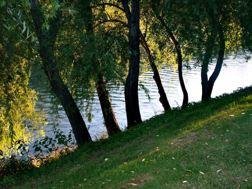 Margens do Rio Zêzere - 10151047204486506