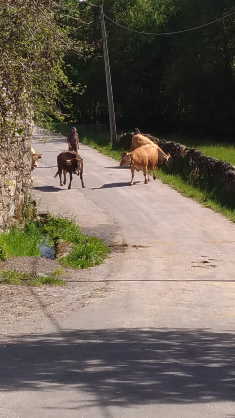 P_20170520_164417_vHDR_On-min