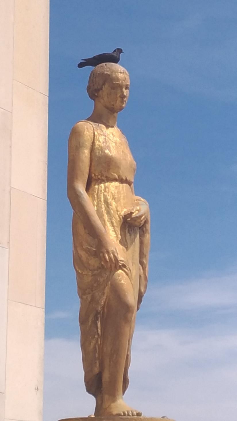 P_20170705_145619-min