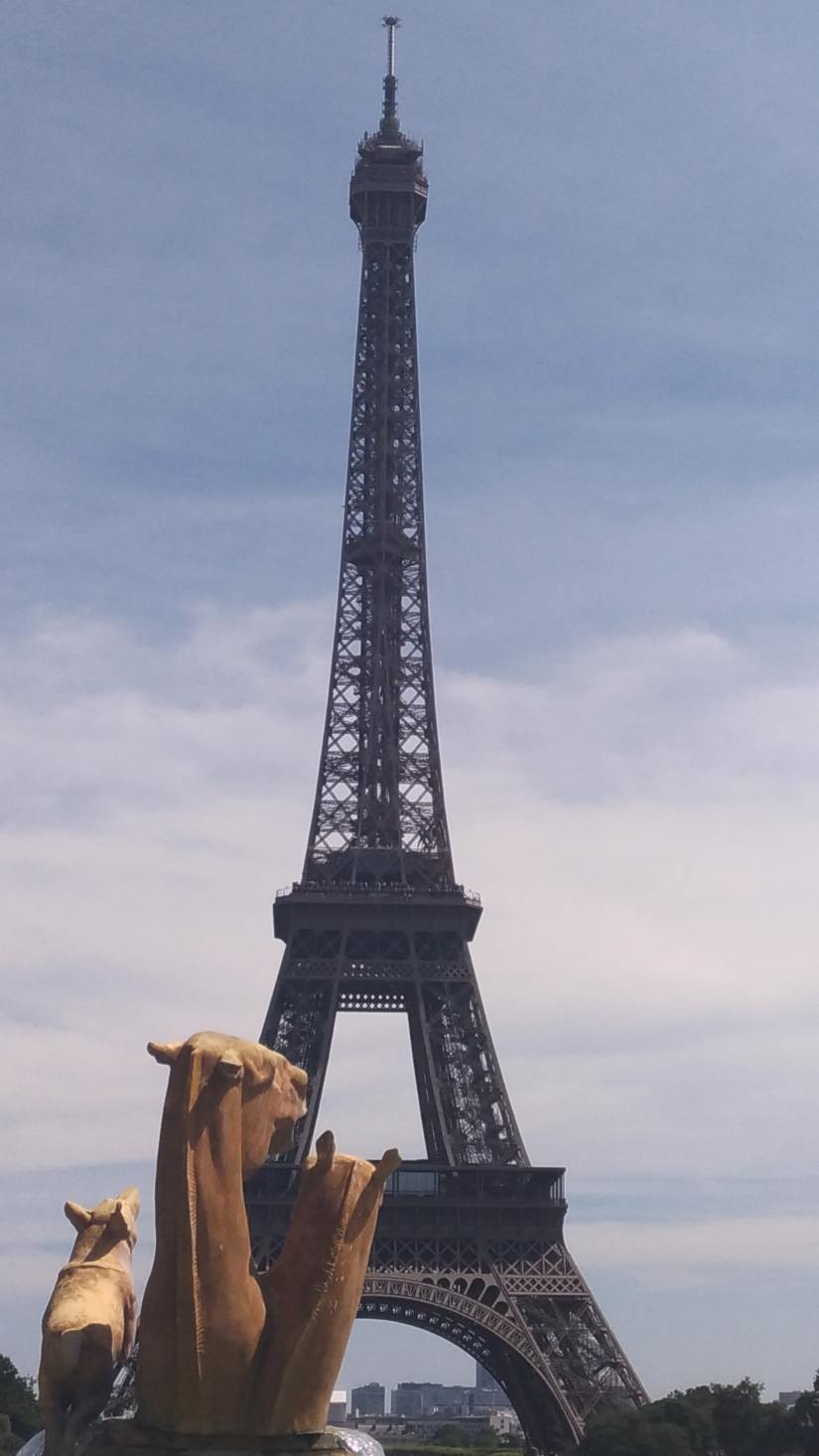 P_20170705_150633-min