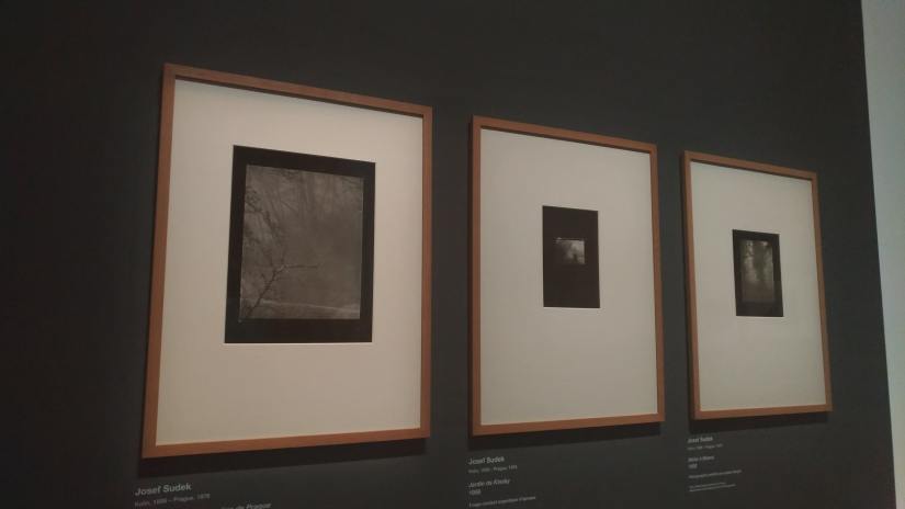 P_20170705_194704-min